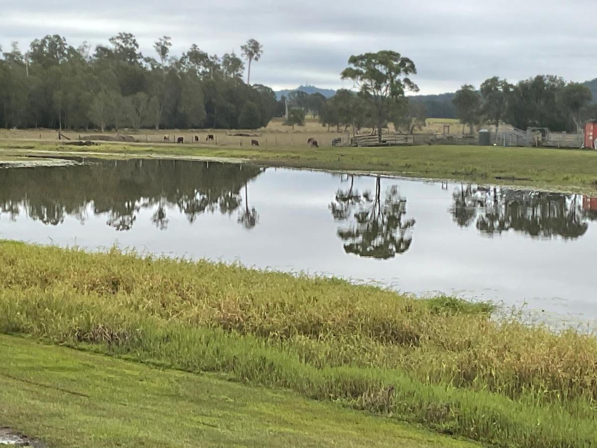 Water View Country Cottage Yandina Creek Exterior foto